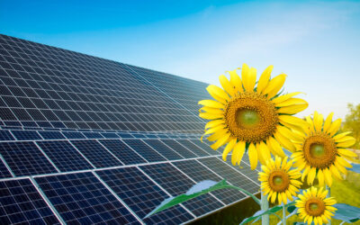 Jahressteuergesetz 2022 Photovoltaikanlagen bei der Einkommensteuer sowie Photovoltaikanlagen bei der Umsatzsteuer